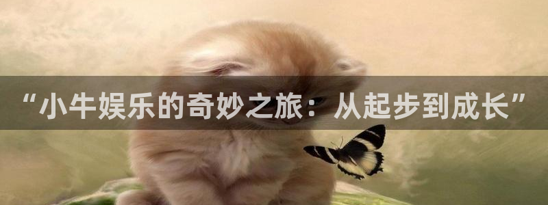 upload/20250701114914.jpg