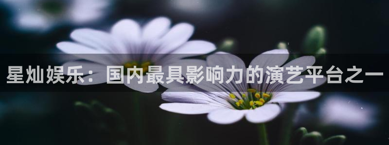 upload/20250701114914.jpg